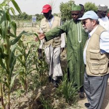 العالم بحاجة إلى الاستعداد بشکل أفضل لاستباق آثار الجفاف المدمرة - 04-11-2017LakeChad