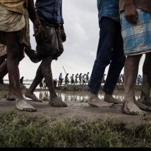 کوفی عنان: لا بدیل عن وقف أعمال العنف، والعودة الکریمة للاجئین الروهینجا - Rohingya_UNICEF_UN0119951