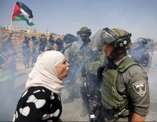   - الأمم المتحدة تعتمد قرارات لصالح فلسطین