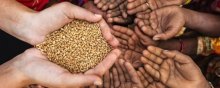   - رؤساء عدد من المنظمات الدولیة یدعون إلى اتخاذ إجراءات عاجلة لمواجهة تدهور الأمن الغذائی العالمی