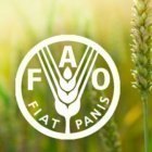Iran wins FAO award for hunger fighting