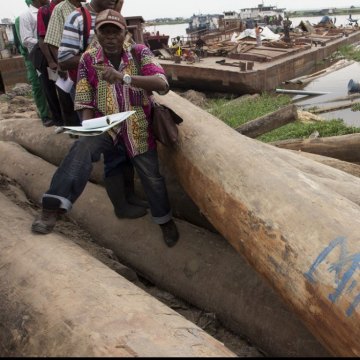 On International Day, UN cites 'duty of care towards the environment' in peacetime and during conflict