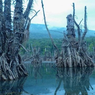 22 properties added to Iran’s natural heritage list