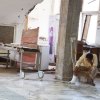  Half-of-all-health-facilities-in-war-torn-Yemen-now-closed-medicines-urgently-needed-���-UN - Yemen's health system another victim of the conflict – UN health agency