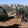  Creating-a-healthy-workplace-improves-mental-wellbeing-and-productivity-–-UN - UN trade report highlights impact of loss of land and resources to Palestinian economy