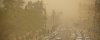  Clean-Environment-Is-a-Human-Right-Now - Sound and Dust Storm