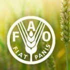  S-AZ-S-ZA-Organization-for-Defending-Victims - Iran wins FAO award for hunger fighting