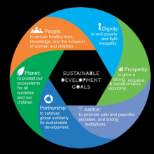   - Launch of new sustainable development agenda to guide development actions for the next 15 years