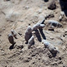  S_AZ-Iraq - Mass Grave of Children Who Rejected Islamic State Found in Sinjar, Iraq