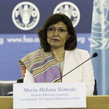 FAO Ready to Partner with Iran on Urban Food Systems - Ms. Maria Helena Semedo