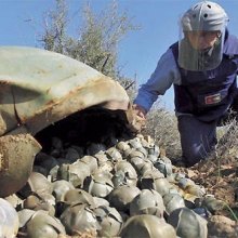  cluster-munitions - Saudi Arabia: Immediately abandon all use of cluster munitions