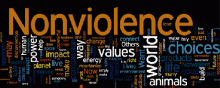  Tolerance-and-Non-Violence - Nonviolent action is extremely powerful