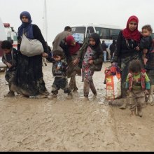  displacement - Iraq: UN refugee agency sounds alarm for more support as fighting continues in Mosul