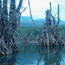  UNESCO - 22 properties added to Iran’s natural heritage list