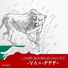  S-ZA-Iran - National campaign seeking help to safeguard Asiatic Cheetah