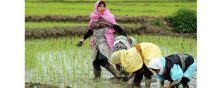  Masoumeh-Ebtekar - Supporting rural and nomad women for healthy food production