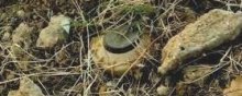 Landmines in Iran Continue to Claim Victims - landmine