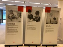 Sick Iranian Children’s Suffering Exhibition at the United Nations - E.B